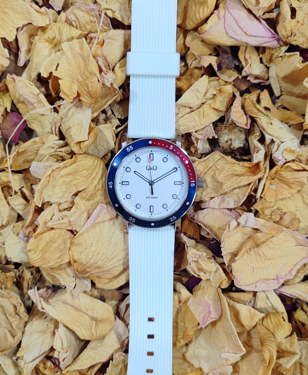 Reloj para caballero Q&Q QB85P