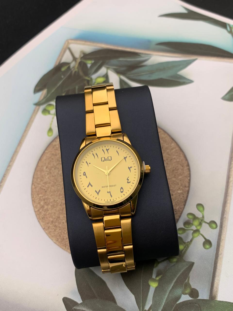 Reloj para dama Q&Q C01A-009