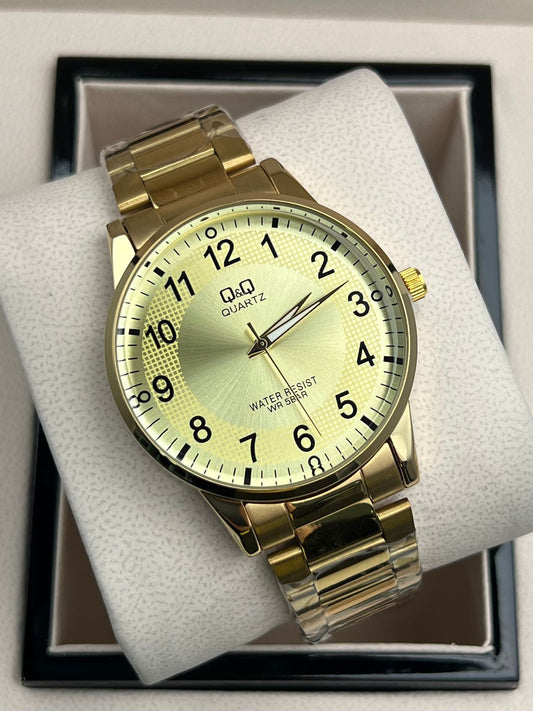 Reloj Caballero Q&Q -1